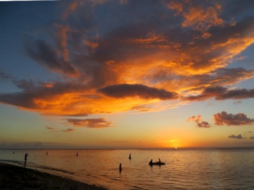 Côte ouest (Maurice)