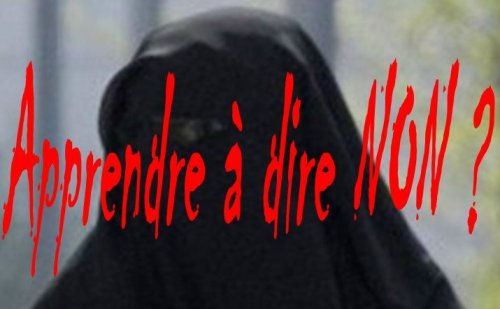 Prison de toile QUI est QUI !