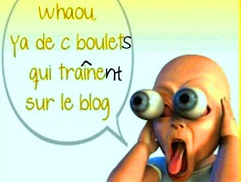 Le boulet (glané sur le Net)