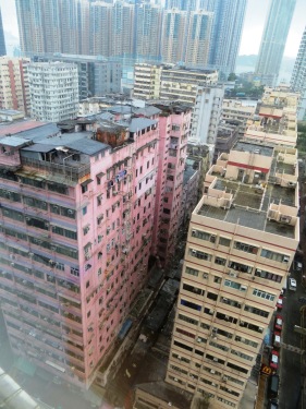 Petit bidonville fleurissant au 15ème niveau sur le toit d' immeubles