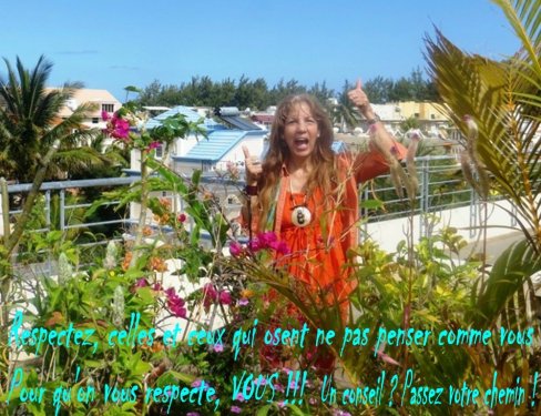 Ce jour, dans mon jardin sur le toît !