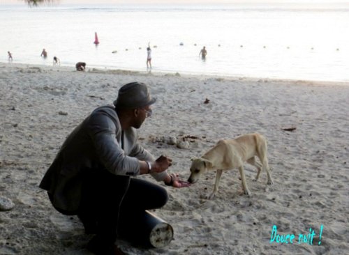 Ce soir un touriste donne à manger à un chien errant sur la plage