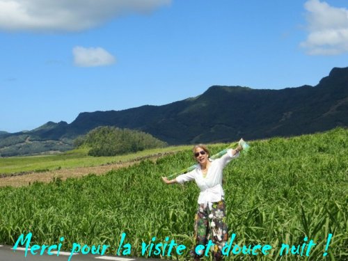 Ce jour, en allant vers les plages de l'Est (Trou d'Eau Douce-Maurice)