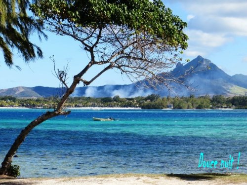 Du côté de trou d'Eau Douce (Maurice)