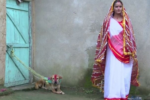 Contrainte d'épouser un  chien !