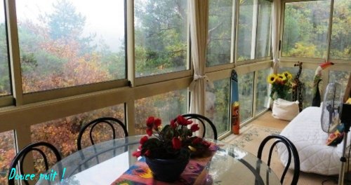 La vérandah et la forêt en...hiver ! 