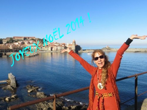 Joyeux Noël 2014 !