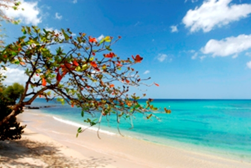 Sainte Lucie (Ph. du Web)