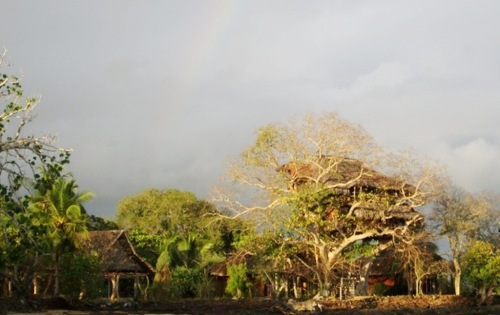 La maison dans l'arbre et l' arc en ciel 