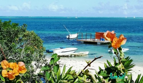 Devant chez moi y a le lagon!