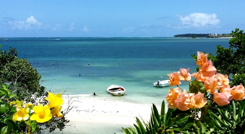 Devant chez moi, le lagon et la brise marine..jpg