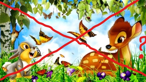 httpwww-imagespourtoi-combambi-html_ink_li