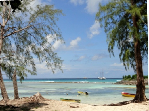 un-voilier-le-soleil-et-une-ile