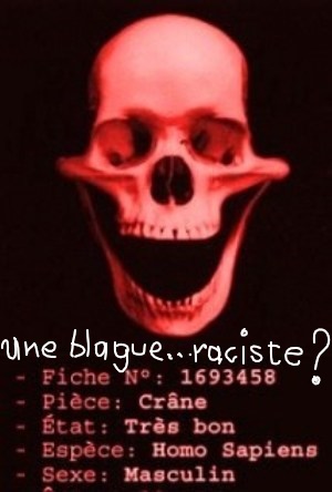blague-raciste_ink_li